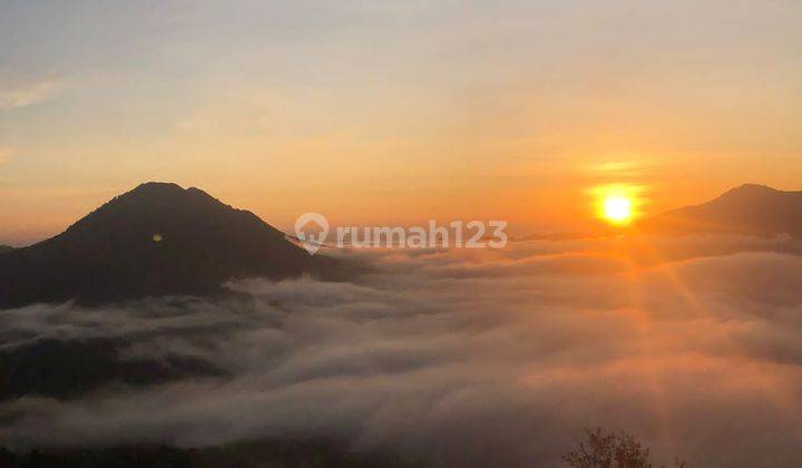 Tanah Luas 10 Are Lokasi Kintamani Sangat Cocok Untuk Usaha 2