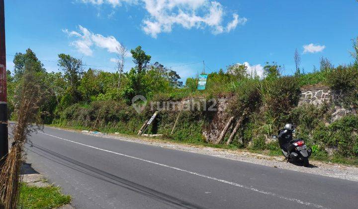 Tanah Luas 10 Are Lokasi Kintamani Sangat Cocok Untuk Usaha 5