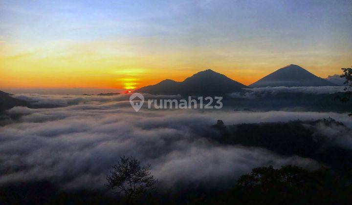 Tanah Luas 10 Are Lokasi Kintamani Sangat Cocok Untuk Usaha 9