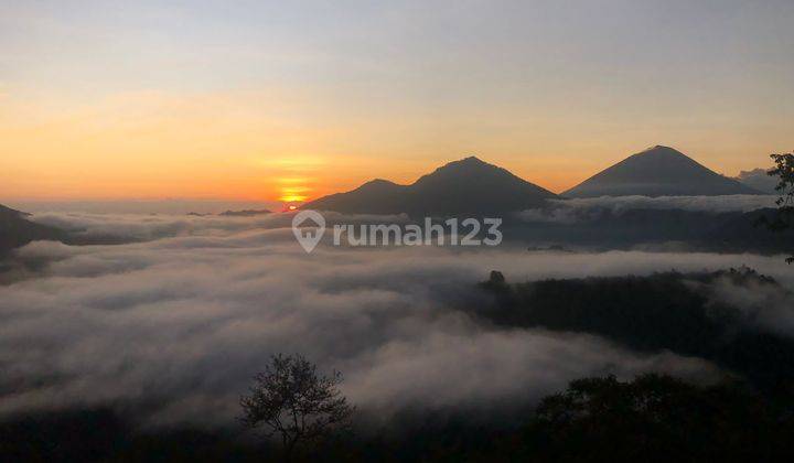 Tanah Luas 10 Are Lokasi Kintamani Sangat Cocok Untuk Usaha 14