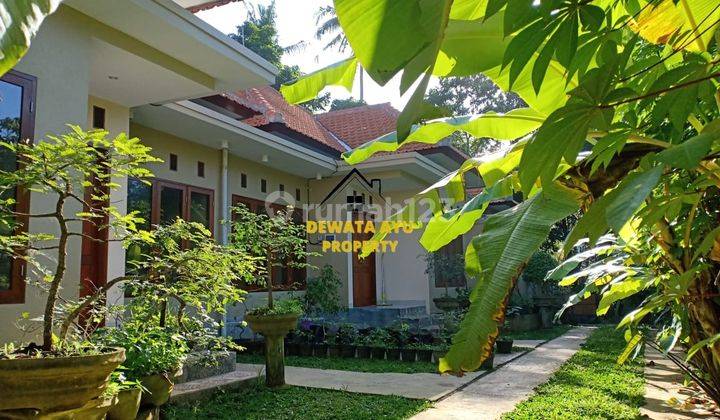 Home Stay Semi Villa 7 Unit Dengan View Sawah Kemenuh Gianyar 12