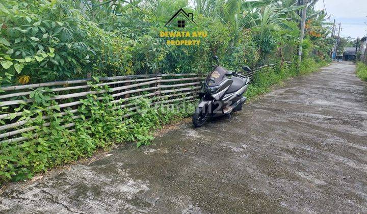 Lahan Cocok Untuk Pemukiman 3 Are Di Sedap Malam  1