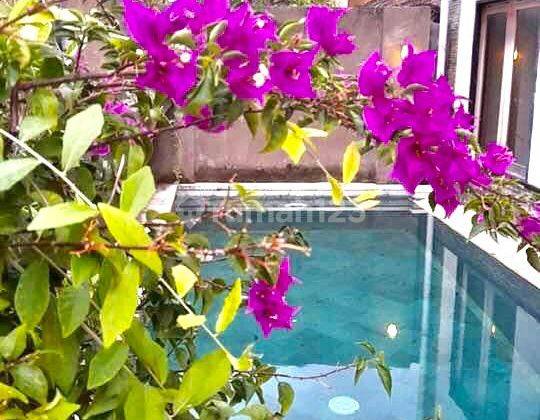 Villa Minim Sewa 5 Tahun 3 Kamar Furnished Di Tangtu Kesiman  2