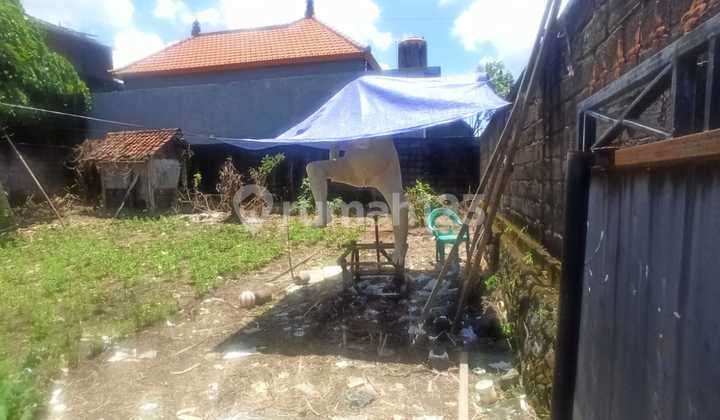 Lahan Buc 2.58are Dekat Dermaga Lokasi Sanur  3