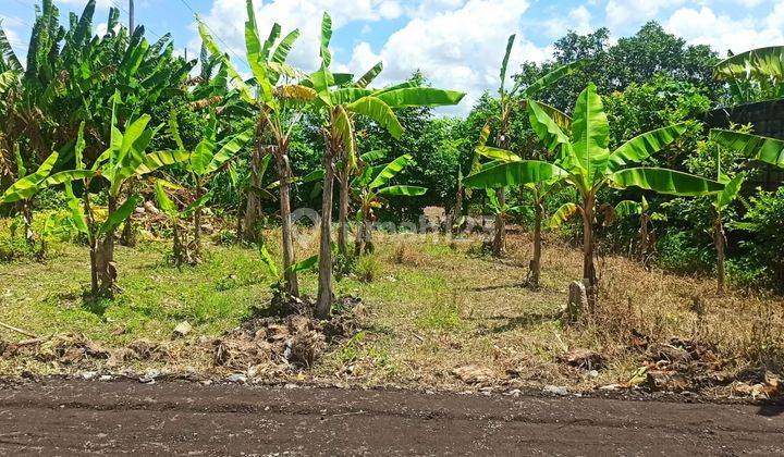 Lahan Buc 2.58are Dekat Dermaga Lokasi Sanur  7