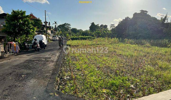 Lahan Kosong 125m2 Cocok Untuk Villa Di Padanggalak 6