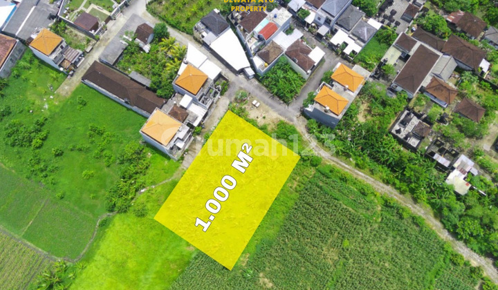 Lahan 1000m2 View Sawah Itr Pemukiman Di Dalung Badung 2
