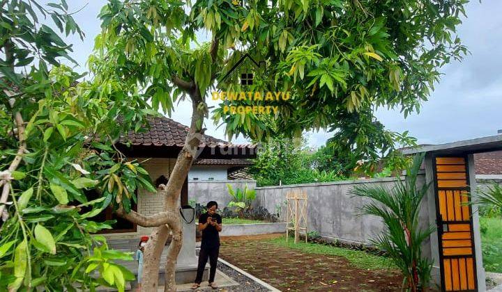 Rumah Sewa Minim 5 Th Halaman Luas 2 Kamar di Tirta Ening Sanur 3
