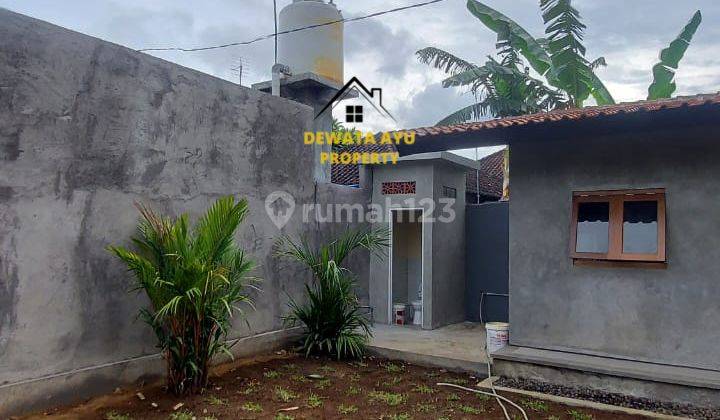 Rumah Sewa Minim 5 Th Halaman Luas 2 Kamar di Tirta Ening Sanur 5