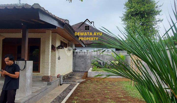 Rumah Sewa Minim 5 Th Halaman Luas 2 Kamar di Tirta Ening Sanur 8