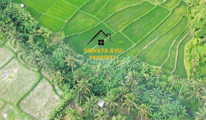 Leashold Land 11are Los River And View Jungle In Mawang Lodtunduh 4
