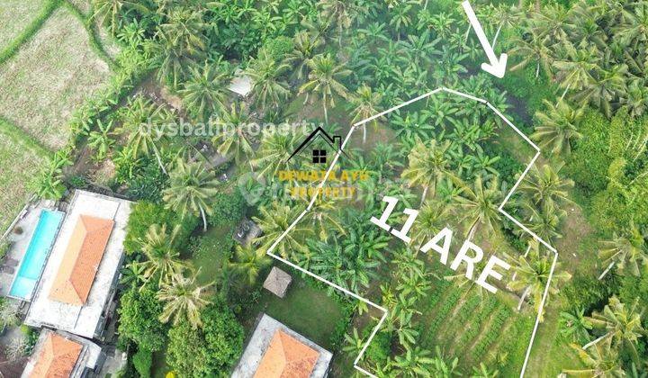 Leashold Land 11are Los River And View Jungle In Mawang Lodtunduh 6