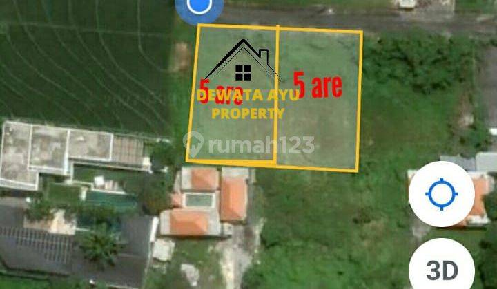 Lahan 1000m2 Akses Jalan 7 Meter Di Berawa Canggu  3
