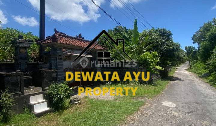 LAND AREA 21000M2 VILLA AREA STRATEGIC LOCATION IN UNGASAN  1