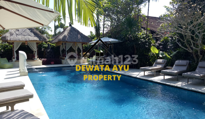 VILLA DEKAT PANTAI LAHAN 9,5 ARE 5 KAMAR KEBUN LUAS DI MERTASARI