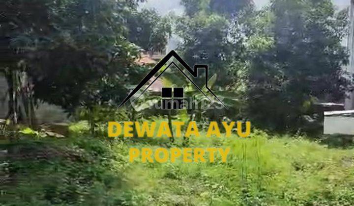 Land Area 460M2 Pocket Shaped Location Mount Lumut Padangsabian 1