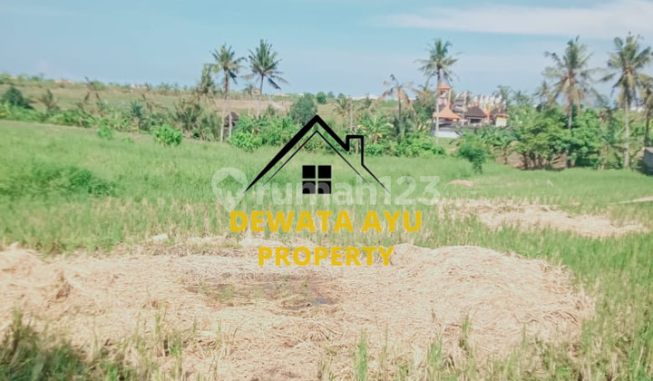 LAHAN JUAL LUAS 11 ARE BELAKANG PATUNG GETA DI MUNGGU SESEH