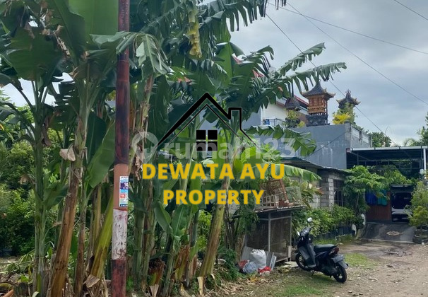 Lahan Jual Kosong Luas 4 Are Hadap Utara di Hangtuah Sanur Lahan Jual Kosong Luas 4 Are Hadap Utara di Hangtuah Sanur