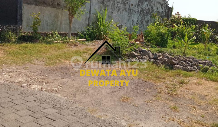 LAHAN 2 ARE ZONA KUNING DEKAT JALAN UTAMA DI BELAKANG GACOAN SESETAN