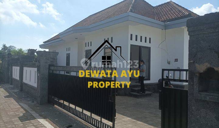 Rumah 1 Lantai 3 Kamar Kosongan Lahan 380M2 Di Siulan Dentim 1