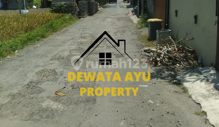 LAND FOR RENT, 5 AREAS, NORTH FACING, LOCATION SEDAP MALAM GG TUNJUNG, 12 MILLION PER AREA
