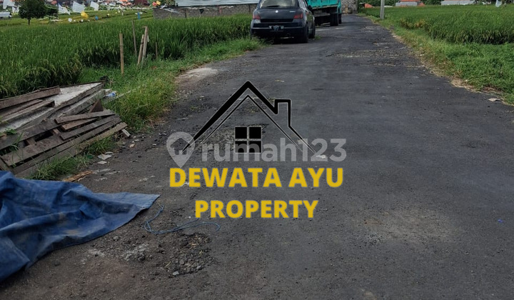 LAHAN JUAL LUAS 2 ARE ASPEK PERUMAHAN LOKASI SURADIPA DENUT LAHAN JUAL LUAS 2 ARE ASPEK PERUMAHAN LOKASI SURADIPA DENUT