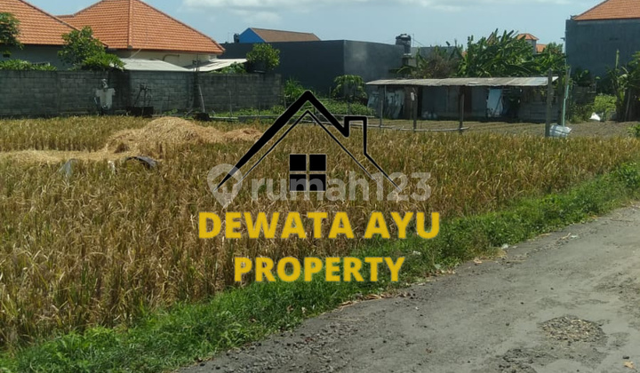 LAND FOR RENT, 5 AREAS, NORTH FACING, LOCATION SEDAP MALAM GG TUNJUNG, 12 MILLION PER AREA