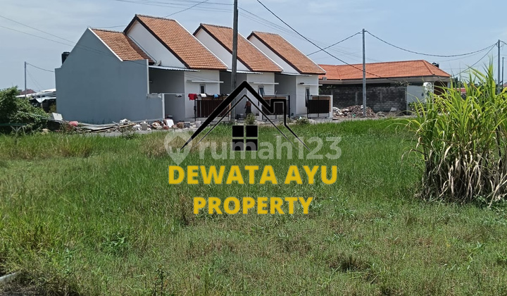 Land for Sale, 5.6 Ares, Yellow Zone, Location: Nuri Alley, Renon