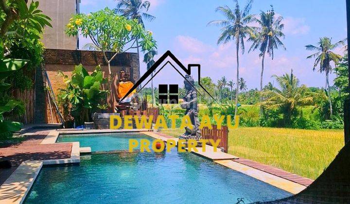 Villa View Sawah 2 Kamar Lahan 250M2 Furnished Di Ubud  1