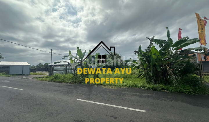 LAND AREA 1300M2 YELLOW ZONE LOCATION BY THE ROAD IN BERINGKIT