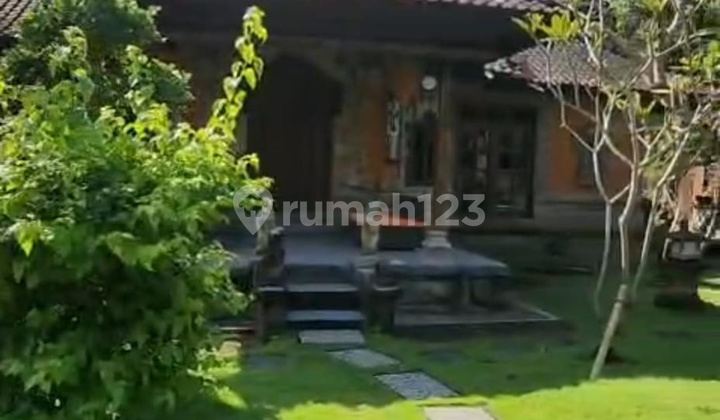 Long Term Rental Villa 3 Bedrooms 900M2 Land Furnished in Sanur Long Term Rental Villa 3 Bedrooms 900M2 Land Furnished in Sanur