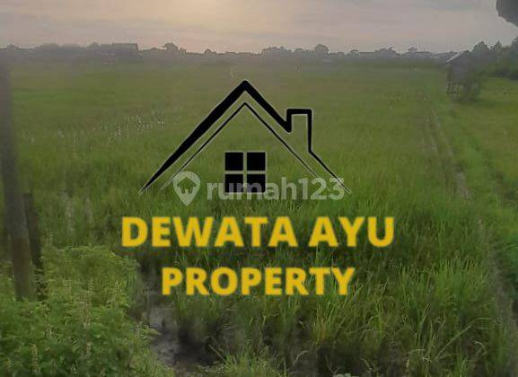 Lahan Siap Bangun Luas 20 Are Kawasan Villa View Sawah Di Kuta 1