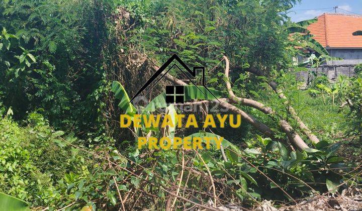 LAHAN SEWA LUAS 3 ARE ZONA KUNING LOKASI SANUR 2