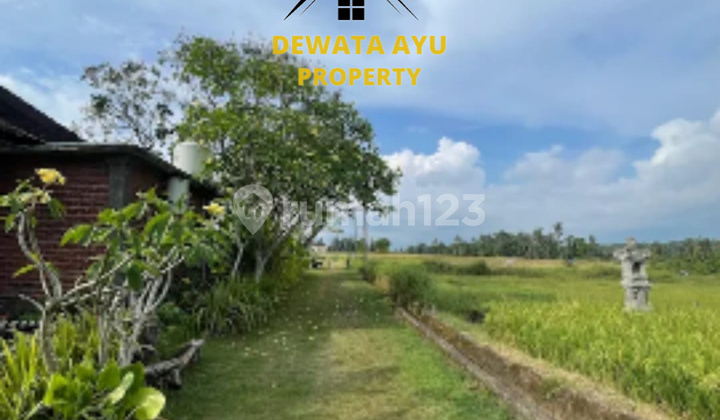 LAND 3000M2 YELLOW ZONE WITH RICE FIELD AND FOREST VIEW IN TABANAN KELATING BEACH