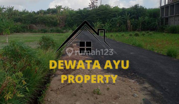 Buc Premium Land Area 6 Are And 13 Are Strategic Location In Sanur 2