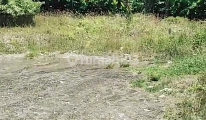 FLAT EMPTY LAND FOR RENT, AREA 8 ARE, LOCATED IN SANUR