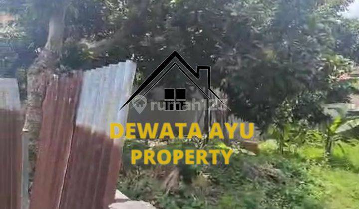 Land Area 460M2 Pocket Shaped Location Mount Lumut Padangsabian 2