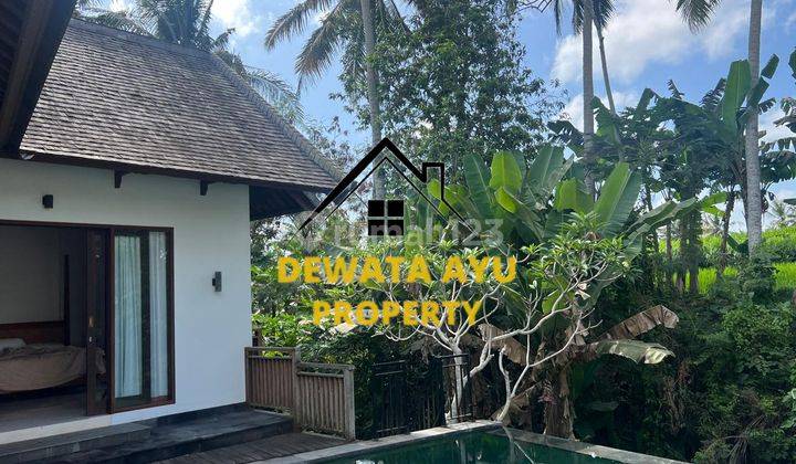 Villa View Rice Fields And River 3 Bedrooms Land 300M2 Furnished In Ubud 2