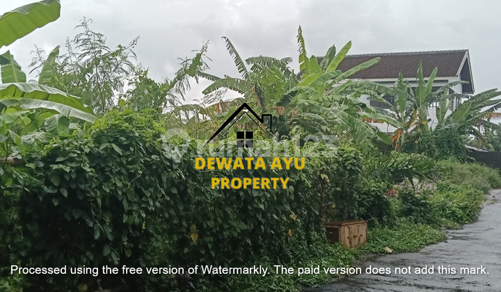 Lahan Jual Luas 150M2 Aspek Pemukiman di Sedap Malam Dentim Lahan Jual Luas 150M2 Aspek Pemukiman di Sedap Malam Dentim