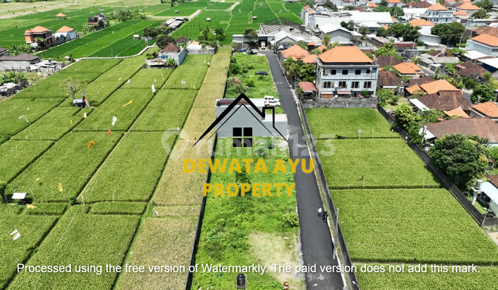 LAHAN KAVLING MULAI 100M2 SIAP BANGUN VIEW SAWAH DI SEKAR JEPUN LAHAN KAVLING MULAI 100M2 SIAP BANGUN VIEW SAWAH DI SEKAR JEPUN