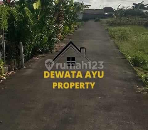 NEW LAND AREA 12 ARE MAXIMUM LEASE 30 YEARS LOCATION TUKAD BILOK 1