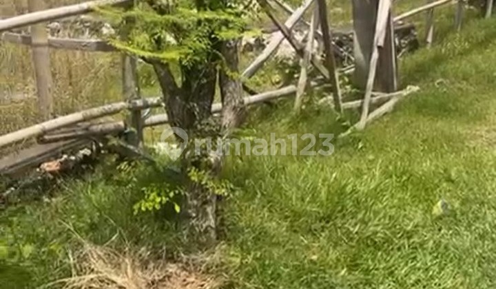 Lahan Sewa Luas 5 Are Hadap Selatan Lokasi Tukad Badung