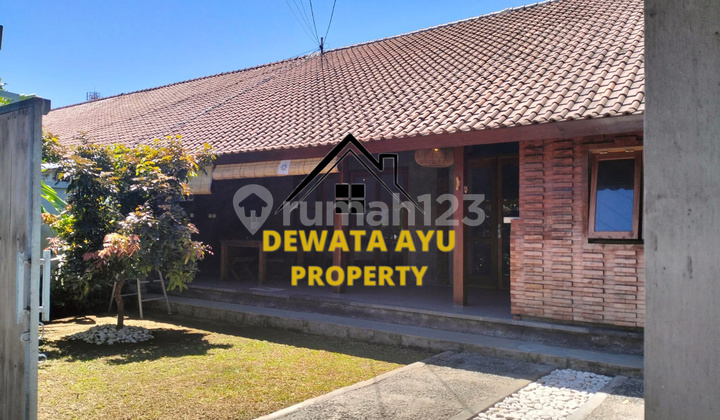 Rumah Sewa Cantik 2 Kamar Lahan 150M2 Ada Taman Lokasi Saniur Rumah Sewa Cantik 2 Kamar Lahan 150M2 Ada Taman Lokasi Saniur