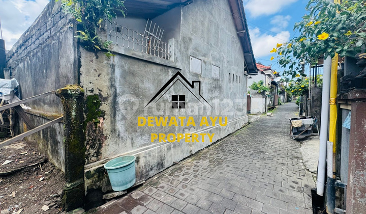 LAHAN JUAL ISI BANGUNAN LUAS 1,33 ARE HADAP SELATAN DI SULI LAHAN JUAL ISI BANGUNAN LUAS 1,33 ARE HADAP SELATAN DI SULI