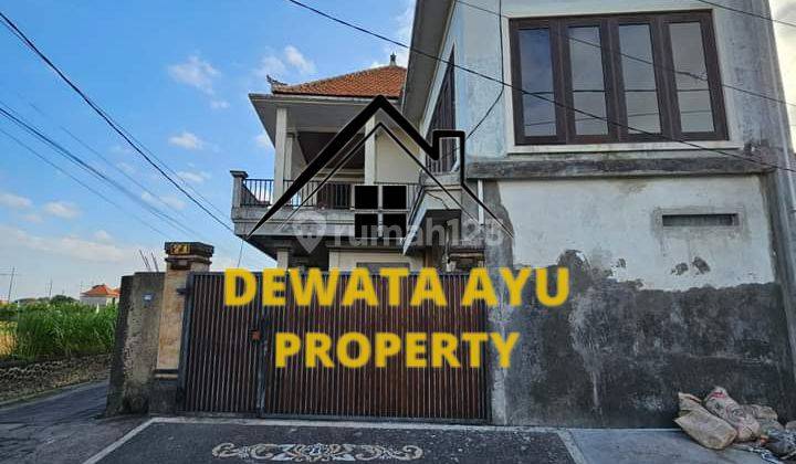 MINIMALIST HOUSE 4 BEDROOMS LAND 167M2 RICE FIELD VIEW IN BATUR SARI 1