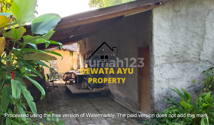 Lahan Sewa 65 Are Lokasi Strategis di Kesiman Cocok untuk Usaha Lahan Sewa 65 Are Lokasi Strategis di Kesiman Cocok untuk Usaha