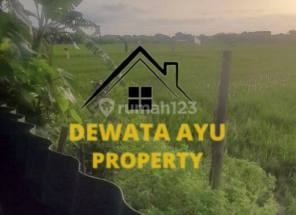 Lahan Siap Bangun Luas 20 Are Kawasan Villa View Sawah Di Kuta 2