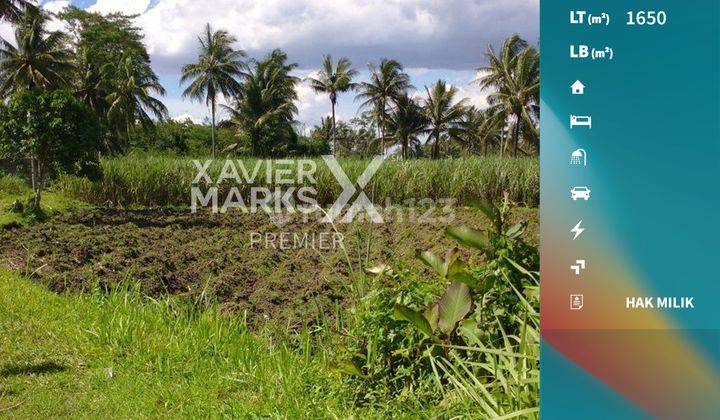Dijual Lahan Siap Bangun di Krebet Bululawang Malang 1