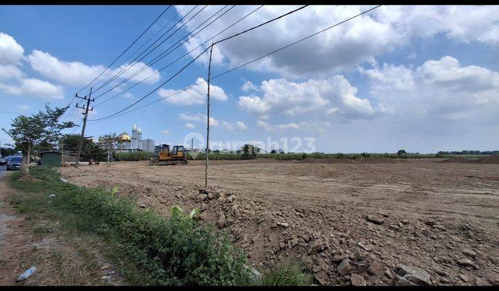 Dijual Tanah Sdh Diuruk Zona Industri Mojotengah Gresik 2