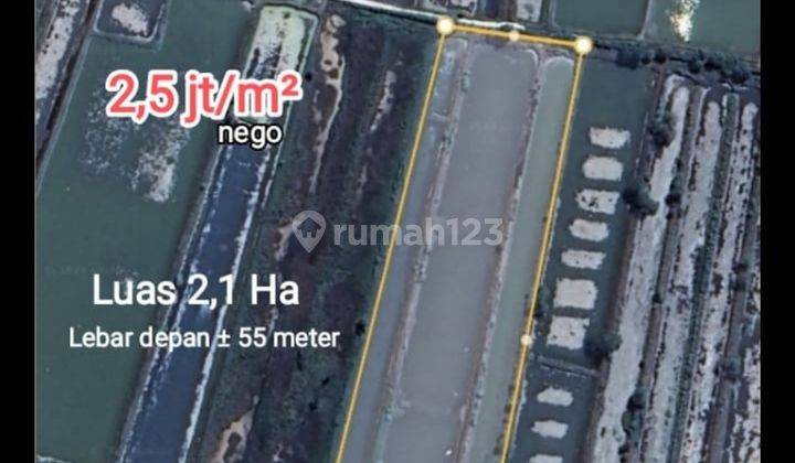 Dijual Tanah Tambak di Duduk Sampeyan Gresik  2